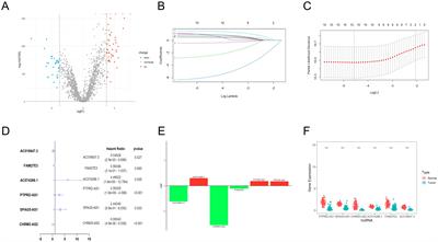 Identification of telomere-related lncRNAs and immunological analysis in ovarian cancer